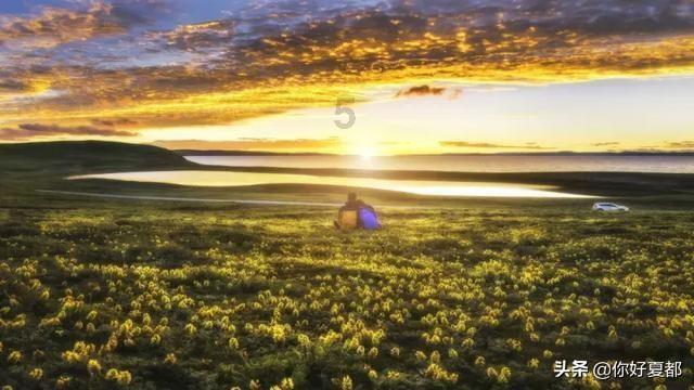 大山羔羊逃生